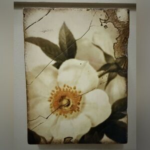 Sid Dickens Wild Rose Retired